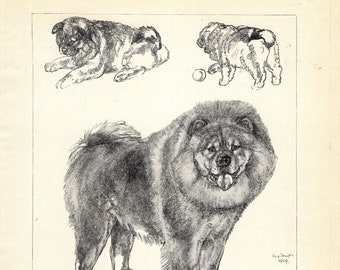 1930's Antique Chow Print Wall Art Decor Vere Temple Chow Illustration Dog Print Birthday Gift Idea 8129n