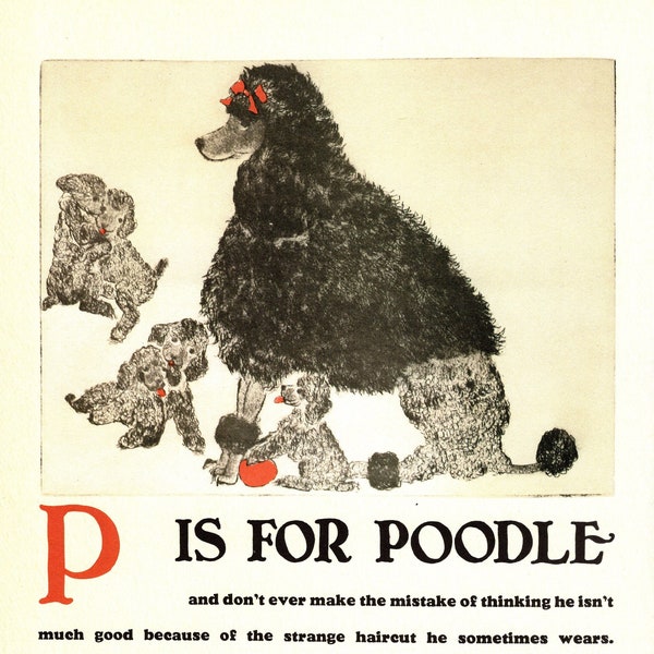 Vintage Poodle Print Wall Art Decor ABC Print Letter P Alphabet Print Poodle Illustration Print Nursery Childrens Room Decor 8034p