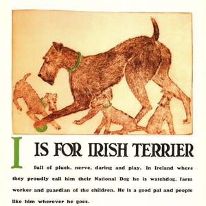 Vintage Ierse terriër print ABC letter I alfabet print Ierse terriër illustratie muur kunst print decor kinderkamer kinderkamer 13213L