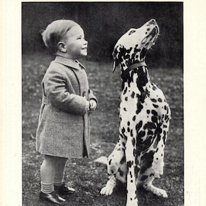1930&#39;s Antique Dalmatian Print Wall Decor Sweet Little Boy and His Dalmatian All Agog Birthday Gift Idea 11401Q