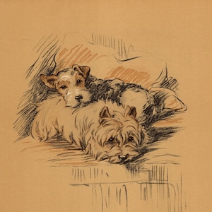 1937 Lucy Dawson Fox Terrier and Cairn Terrier Print Wall Art Decor Best Friends BFF Theme Gift for Birthday 7839s