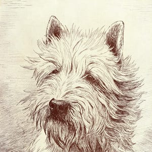 1930&#39;s Antique WEST HIGHLAND White Terrier Print Wall Art Decor Vintage Westie Dog Art Print Birthday Gift Idea 10346L