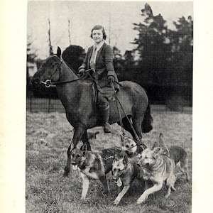 1930's Antique German Shepherd Print Wall Decor Breeder Thelma Evans on Horse and her Alsatian Dogs 7947a