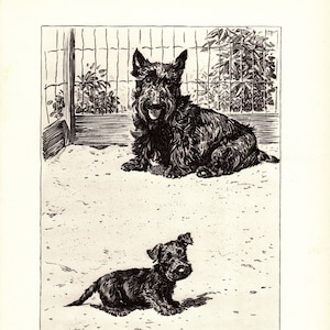 Vintage SCOTTISH TERRIER Print Morgan Dennis SCOTTIE Illustration Mother and Child Wall Art Decor 8441w