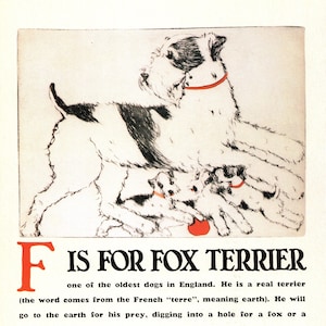 Vintage Fox Terrier Print ABC Letter F Alphabet Fox Terrier Illustration Wall Art Print Nursery Childrens Room Decor 8297w