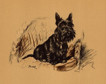 1937 Antique Scottish Terrier Print Lucy Dawson Scottie Dog Illustration Wall Art Decor Gift for Birthday Friend 8222k