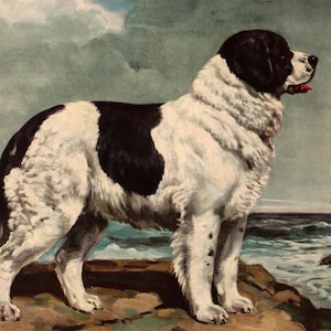 1942 Antique Newfoundland Dog Print Vintage Edwin Megargee Newfoundland Illustration Gift Wall Art Home Library Decor 11310s