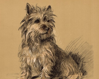 CAIRN TERRIER WITH A BALL OLD 1930/'S BOOKPLATE DOG ART PRINT READY MOUNTED