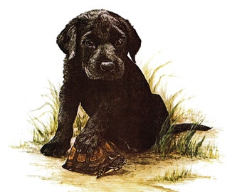 Vintage Labrador Retriever Print Gallery Wall Art Decor Black Lab Puppy and Turtle Wall Art Tara Moore Labrador Retriever Art 11614t