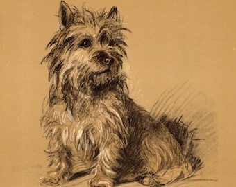 1940 Antique Cairn Terrier Print Wall Art Decor Vintage Lucy Dawson Cairn Terrier Illustration Gallery Wall Art 11290v