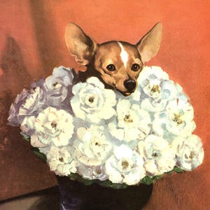 Sweet Chihuahua Dog Print Vintage Chihuahua Illustration Wall Art Wesley Dennis Art Childrens Room Decor Birthday Gift   wd 10604u