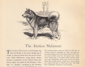 INTERESTPRINT Vintage Alaskan Malamute Dog Painting Childs T-Shirt XS-XL INTERESTPRINT Vintage Alaskan Malamute Dog Painting Childs T-Shirt XS-XL