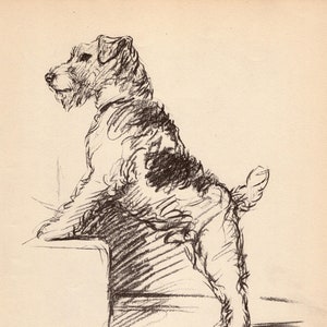 Stampa antica del cane Fox Terrier del 1940, illustrazione vintage di Lucy Dawson Fox Terrier, decorazione da parete per la cameretta dei bambini, regalo per compleanno, amico 9217h