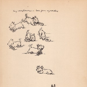 1937 Lucy Dawson Scottish Terrier Print Wall Art Decor Vintage Scottie Illustration Gallery Wall Art Gift for Birthday 8218f