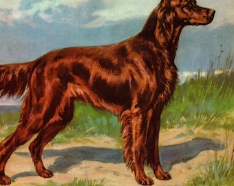 Antique IRISH SETTER Print Wall Art Decor Vintage 1942 Edwin Megargee Hunting Dog Gallery Wall Art Print Home Library Decor 12665c