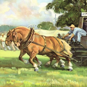 1950s Belgian Draft Horse Print Horse Pulling Team County Fair Wall Art Wesley Dennis Art Horse Decor Birthday Gift  wd 10674w