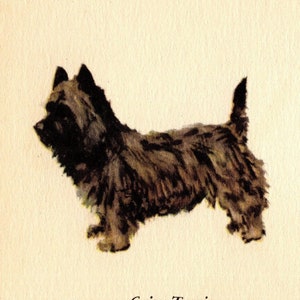 Tiny Cairn Terrier Print 1939 MINIATURE Size Cairn Terrier Illustration Birthday Gift Idea 7658c