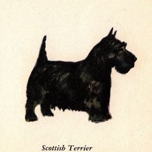 Tiny SCOTTISH TERRIER Print MINIATURE Size 1939 Scottie Dog Illustration Wall Art Decor Birthday Gift Idea 3905b