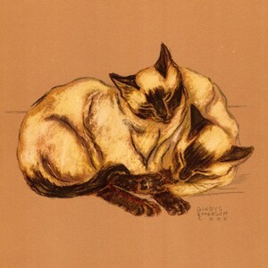 1941 Antique Siamese Cat Print Wall Art Decor Vintage Siamese Cat Illustration Gladys Emerson Cook Art Kids Room Decor 13440
