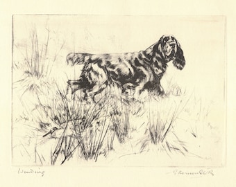 1930 Antique Cocker Spaniel Print Hunting Dog Sporting Dog Print Vernon Stokes Illustration Lodge Cottage Decor vs 5187n