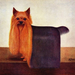Beautiful Yorkshire Terrier Print Wall Art Decor 1930s Champion Harringay Remarkable N Roberts Yorkshire Terrier Art Illustration 8153n