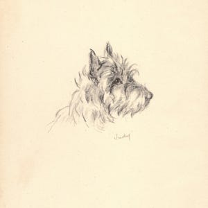 1940s Cairn Terrier Print Wall Art Decor Lucy Dawson Cairn Terrier Illustration Gallery Wall Art Gift for Birthday Friend 9445c