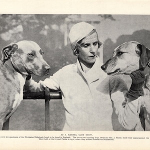 1930&#39;s Antique RHODESIAN RIDGEBACK Dog Print Pretty Dogs with Pretty Woman Birthday Gift Idea 10956w
