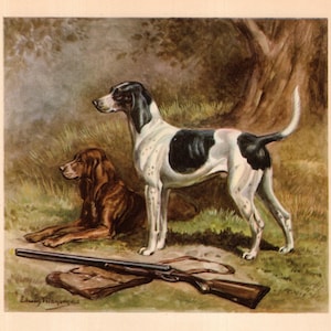Vintage Foxhound Print Wall Art Decor 1942 Edwin Megargee Foxhound Illustration Gallery Wall Art Print Birthday Gift 12379v
