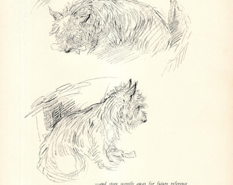 1938 Antique Cairn Terrier Dog Art Print Wall Art Decor Vintage K Barker Cairn Terrier Illustration Gift  kfb 12071u