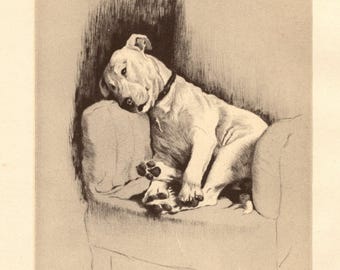 Vintage Bull Terrier Print Wall Art Decor 1933 Cecil Aldin Bull Terrier Illustration Cottage Home Decor Gift for Birthday 9913n