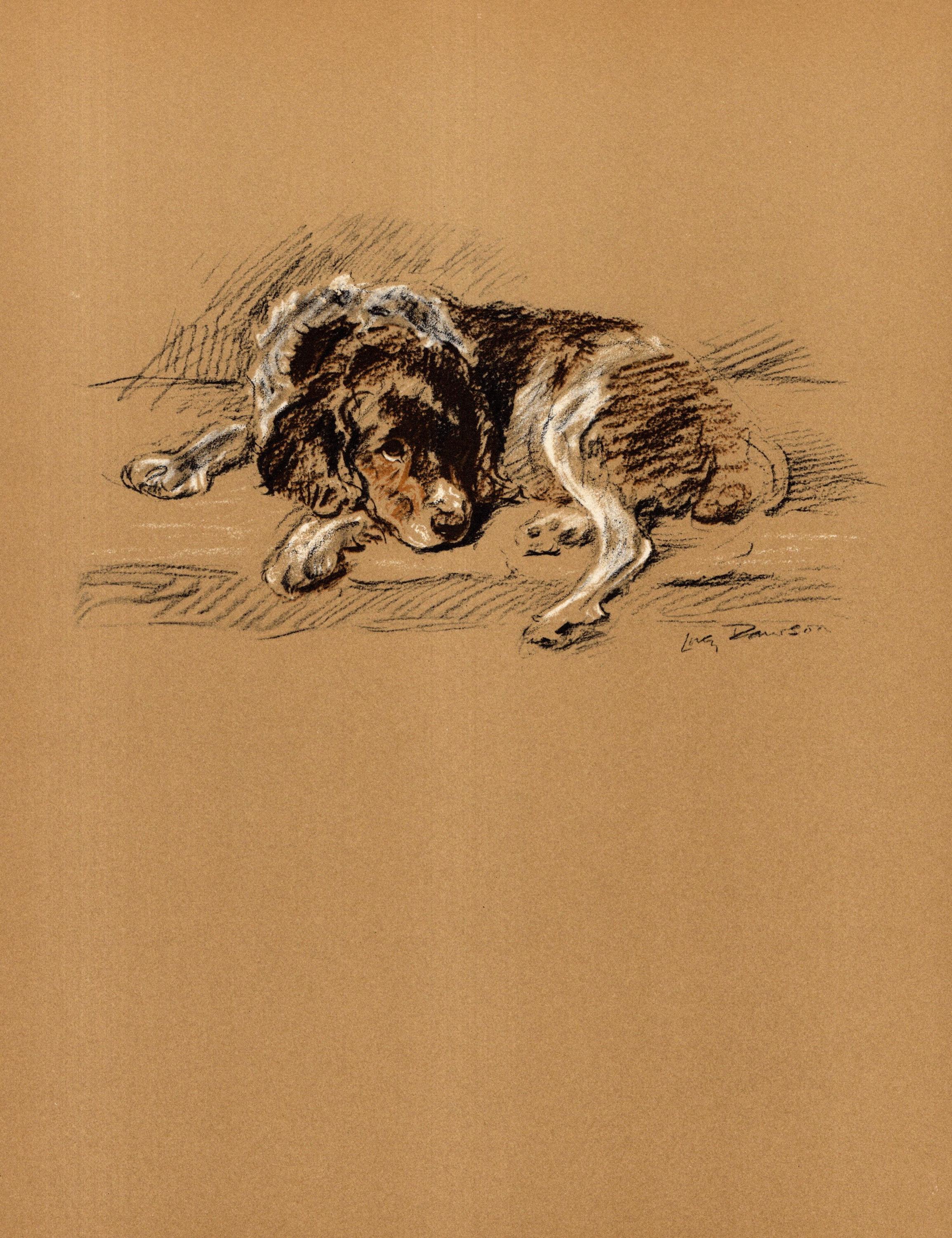 1937 Antique Springer Spaniel Print Wall Art Decor Vintage Lucy Dawson ...