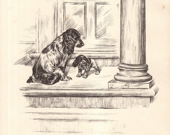 Vintage Cocker Spaniel Print Gallery Wall Art Decor 1930s Shakespeare Two Gentlemen of Verona Quote She Is Mine Own 12053a