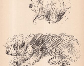 Lucy Dawson Old English Sheepdog Druck Vintage 1940 Old English Sheepdog Illustration Galerie Wandkunst Geschenk für Geburtstagsfreunde 12571 m