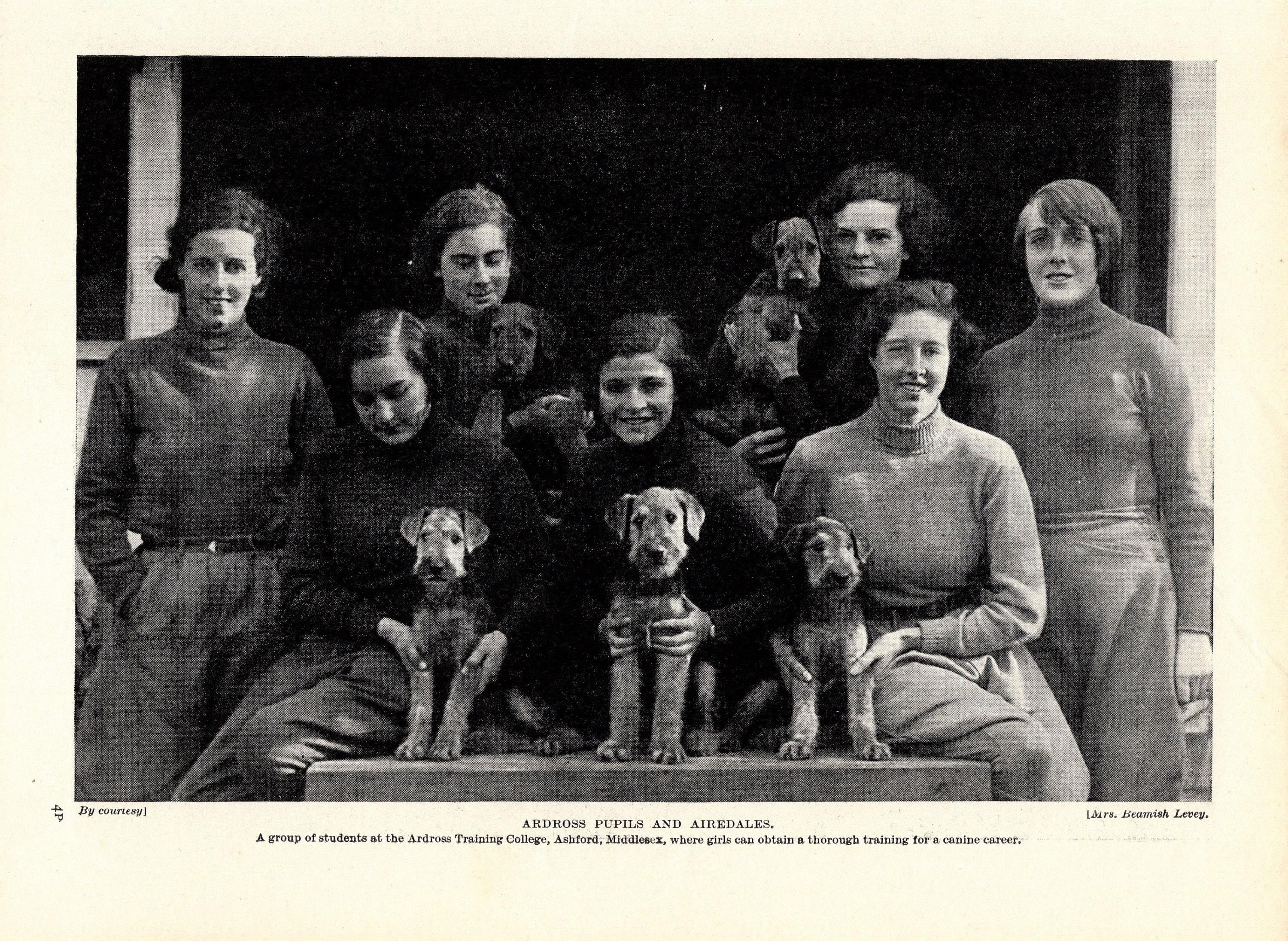 1930's Antique AIREDALE TERRIER Dog Print Ardross Training - Etsy 1930's Antique AIREDALE TERRIER Dog Print Ardross Training - Etsy