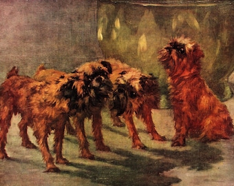1930's Antique Brussels Griffon Print Wall Art Decor Maud Earl Brussels Griffon Illustration Gallery Wall Art Birthday Gift Idea 13540n