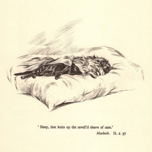 Vintage Sleeping Pekingese Print Gallery Wall Art Decor 1930s Shakespeare Macbeth Quote Print 8973c