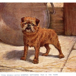 1930's Antique FRENCH BULLDOG Print 4 Champion Dogs Bonhams