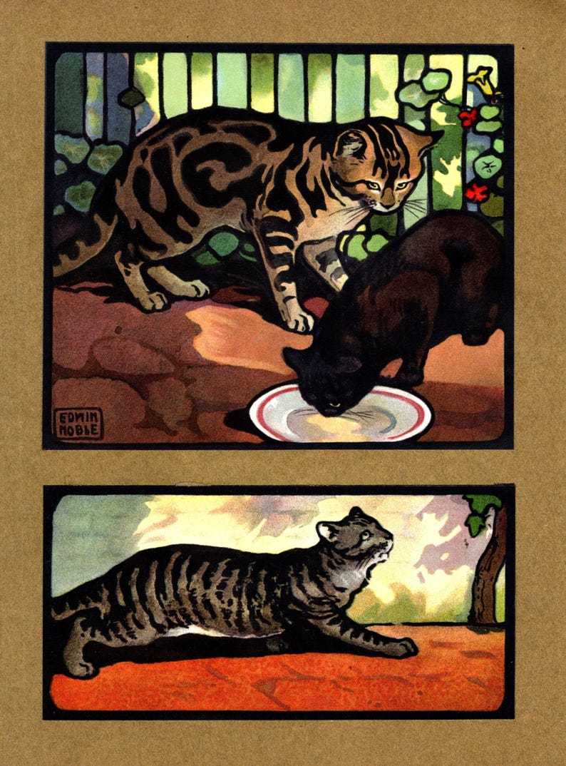 May include: A vintage illustration of three cats. Two tabby cats are in the top panel, one drinking from a white saucer with a red rim. The other tabby cat is looking at the cat drinking. The bottom panel shows a tabby cat walking on a red surface. The artist's signature, "EDWIN NOBLE", is in the bottom left corner of the top panel.