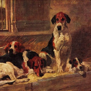 1930&#39;s Antique FOXHOUND Print Wall Art Decor Vintage J Emms Foxhound Hunting Dog Illustration Gallery Wall Art Print 10744x
