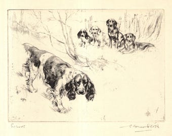 1930 Springer Spaniel Print Wall Art Decor Hunting Dog Sporting Dog ...