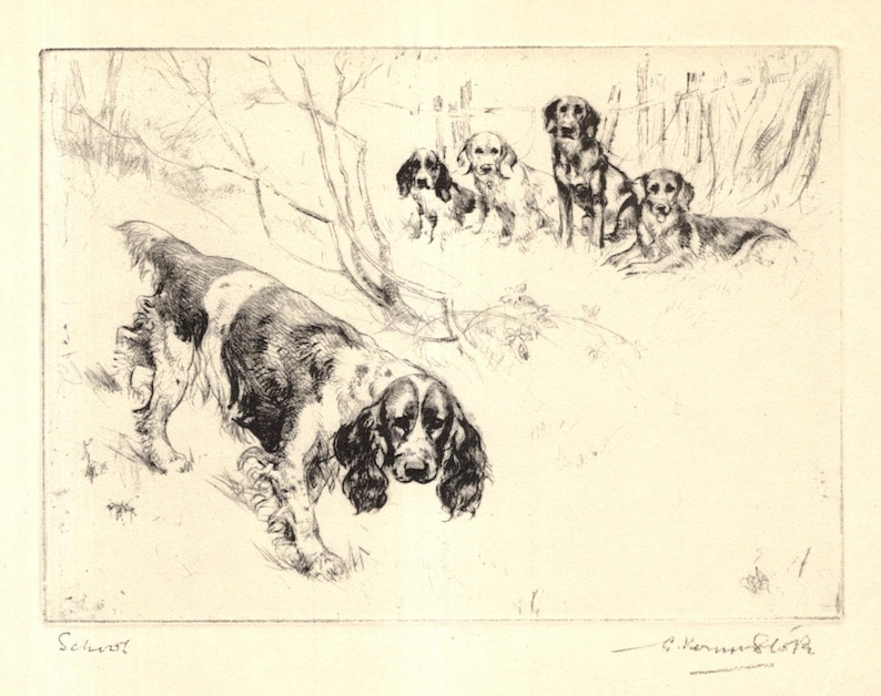 1930 Antique Springer Spaniel Print Wall Art Decor Hunting Sporting Dog ...