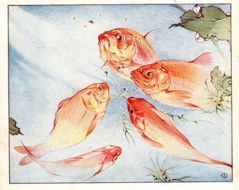 Pretty Goldfish Print Vintage Fish Wall Art EJ Detmold Goldfish Illustration Home Decor Gift for Birthday 2715e