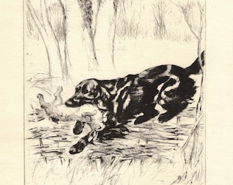 1930 Antique Labrador Retriever Print Hunting Dog Wall Art Decor Vernon Stokes Black Lab Illustration Lodge Cottage Decor vs 10686g