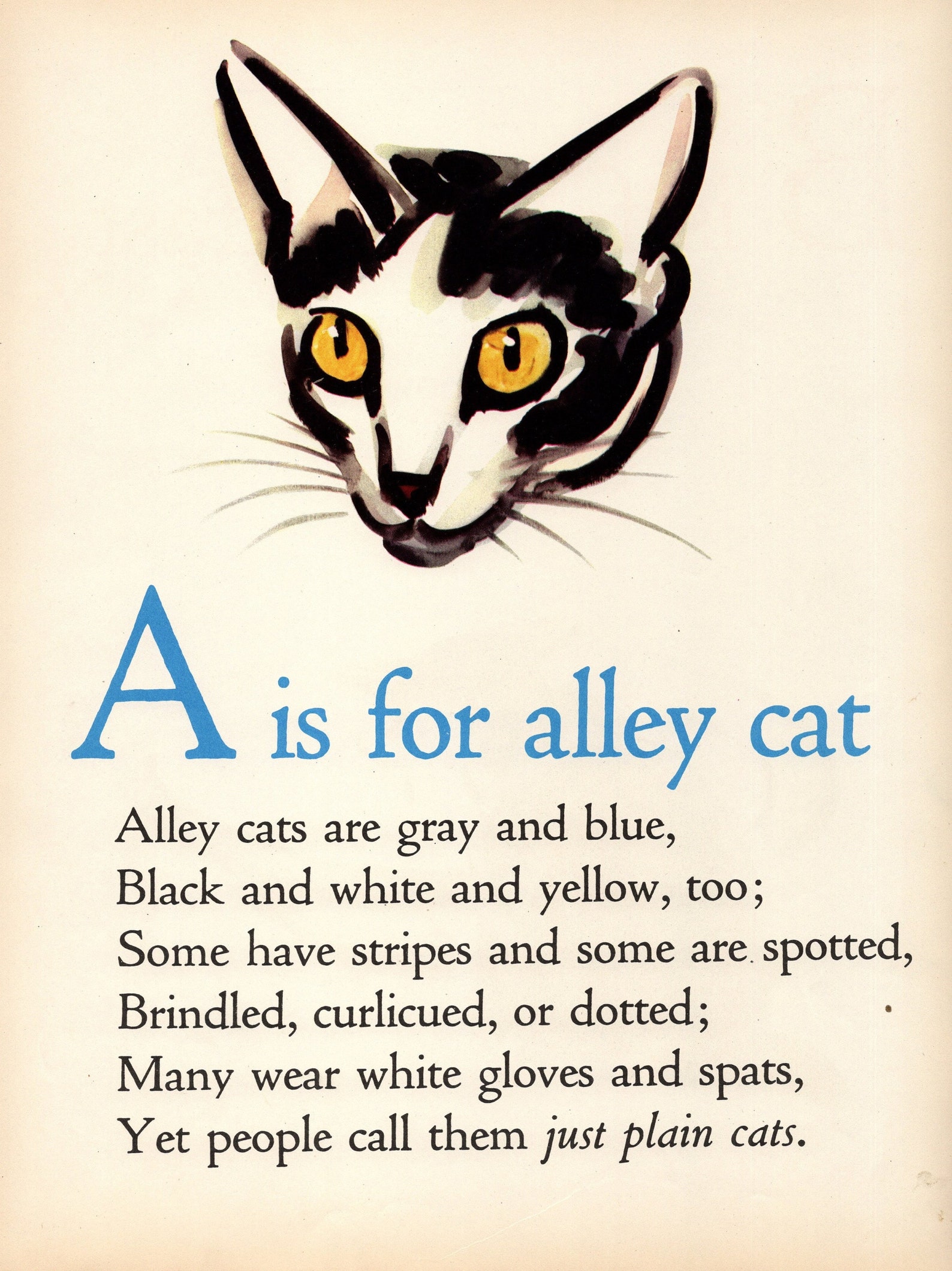 1946 Letter A Alphabet Print ABC Cat Print Wall Art Print | Etsy