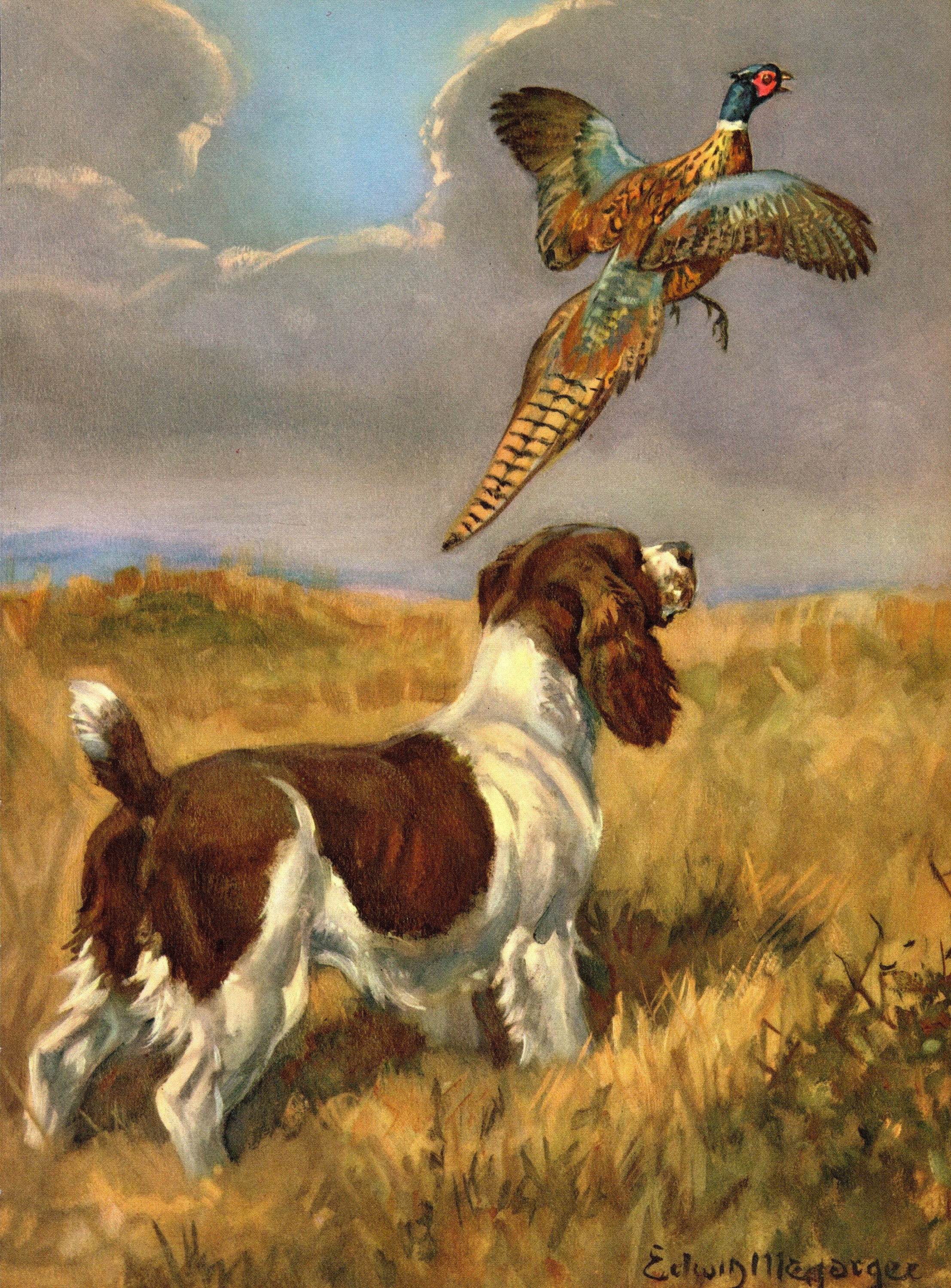 Vintage Springer Spaniel Print Wall Art Decor Edwin Megargee Springer ...