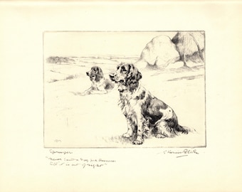 1930 Springer Spaniel Print Wall Art Decor Hunting Dog Sporting Dog Print Vernon Stokes Illustration Lodge Cottage Decor vs 13694L
