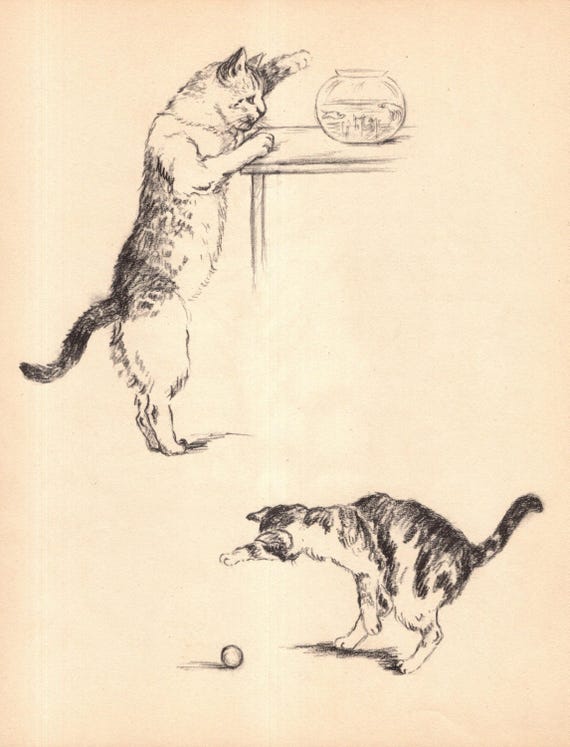 Lovely Vintage Cat Print Wall Art Decor Cat and Fishbowl Illustration 1941 Gladys Emerson Cook Cat Art Home Decor Birthday Gift 11822z