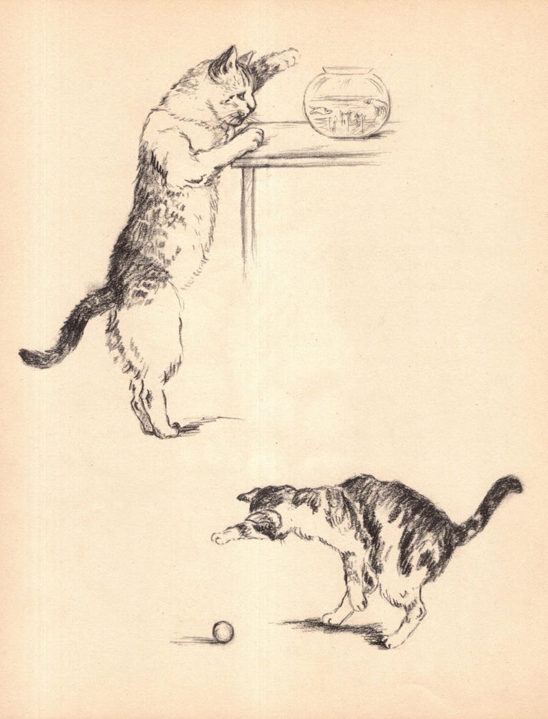 Lovely Vintage Cat Print Wall Art Decor Cat and Fishbowl Illustration 1941 Gladys Emerson Cook Cat Art Home Decor Birthday Gift 11822z image 1