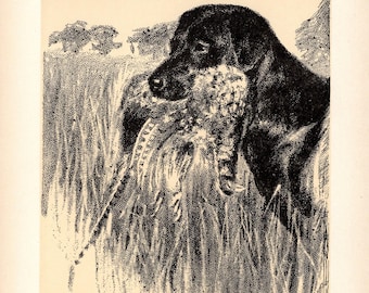 Labrador Retriever Print Ente Jagdhund Wand Kunst Dekor Cleanthe Carr Art Illustration Black Lab Geschenkidee 12743a