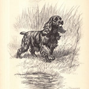 Vintage COCKER SPANIEL Print Edwin Megargee Cocker Spaniel Illustration Gallery Wall Art Decor Gift for Birthday Friend 12354